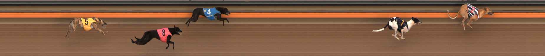 Race result finish photo